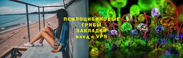 стафф Дмитров